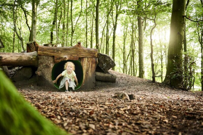 Skjern: WOW PARK Entry Ticket - A Closer Look at What to Expect at WOW PARK Skjern