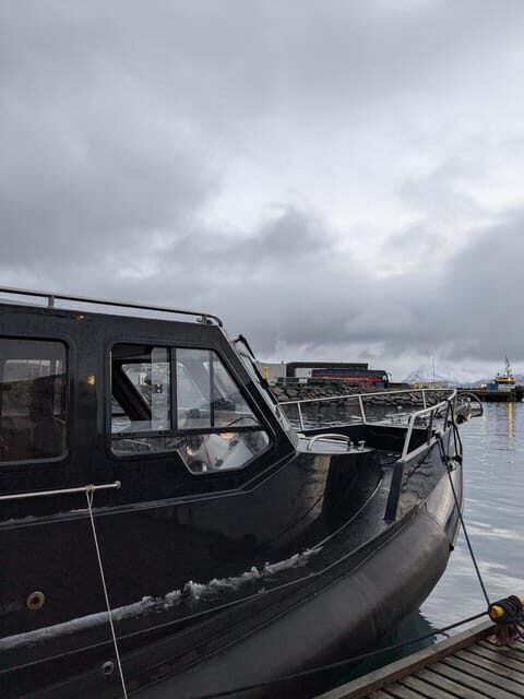 Skjervøy: Orca and Whale-Watching comfort heated Boat Trip - Key Points