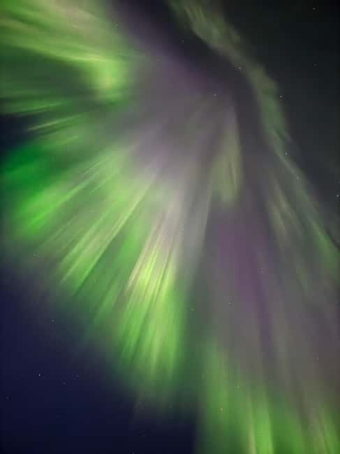 Skjervøy,North of Tromsø:Northern Lights Stargazing(Minivan) - The Experience — What to Expect