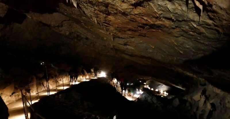 Skocjan cave day tour from Ljubljana - What You Can Expect from This Tour