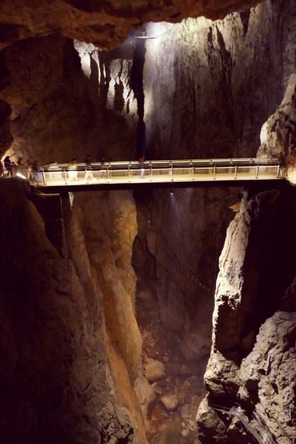 Skocjan cave day tour from Ljubljana - The Perfect Audience for This Tour