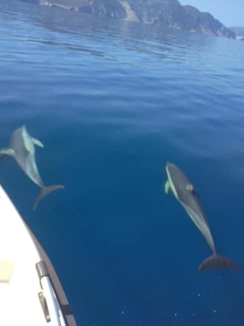 Skopelos: Private cruise to Alonissos and Marine Park - FAQ