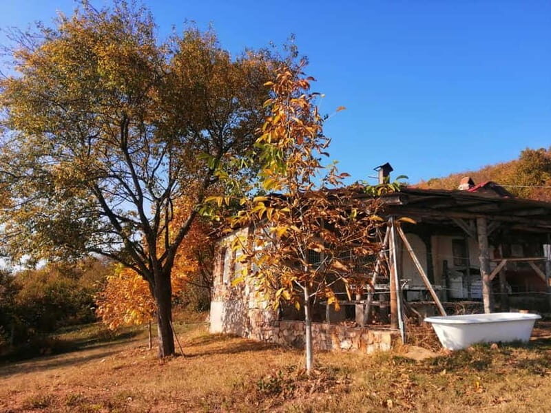 Skopje: Brodec  Spirova Hut  Crn Kamen Hike Tour - Reaching Crn Kamen: The Rocky Peak