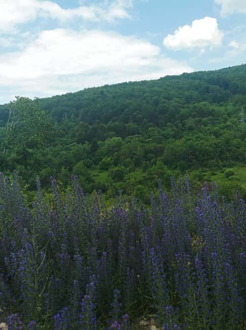 Skopje to Tetovo, Mavrovo & John Bigorski Opt Ohrid day tour - Final Thoughts