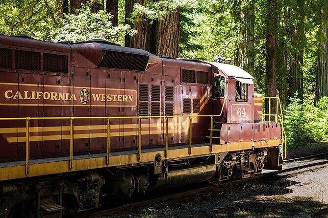 Skunk Train: Pudding Creek Express from Fort Bragg - Who Should Consider This Tour?