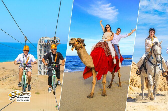 Sky Bike Adventure with Free Camel Ride and Horseback Riding - Key Points