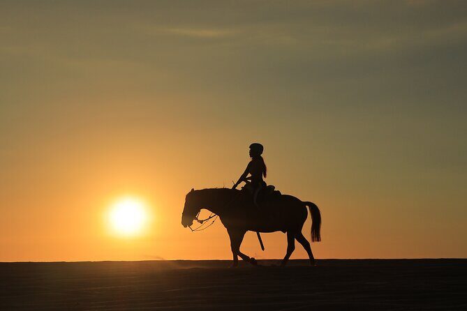 Sky Bike Adventure with Free Camel Ride and Horseback Riding - Who Should Consider This Tour?