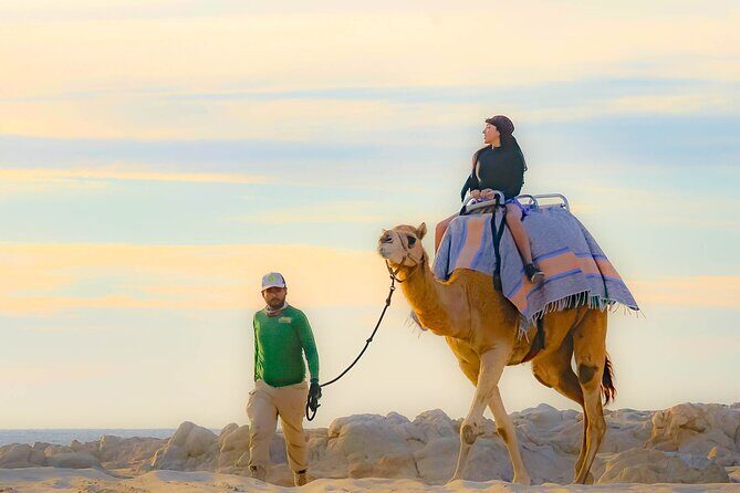 Sky Bike Free Camel Ride and Horseback Riding - What’s Included and What’s Not
