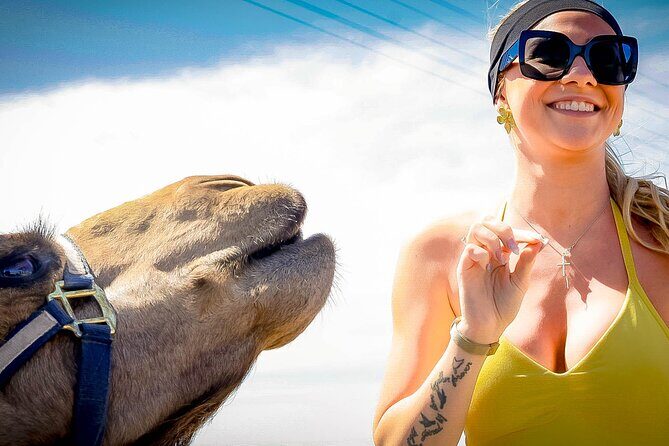 Sky Bike Free Camel Ride and Horseback Riding - Practical Tips for Your Day Out