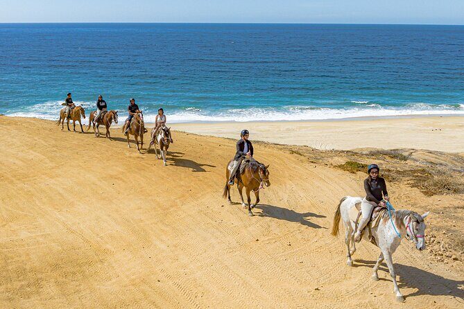 Sky Bike Free Camel Ride and Horseback Riding - Is This Tour Worth It?
