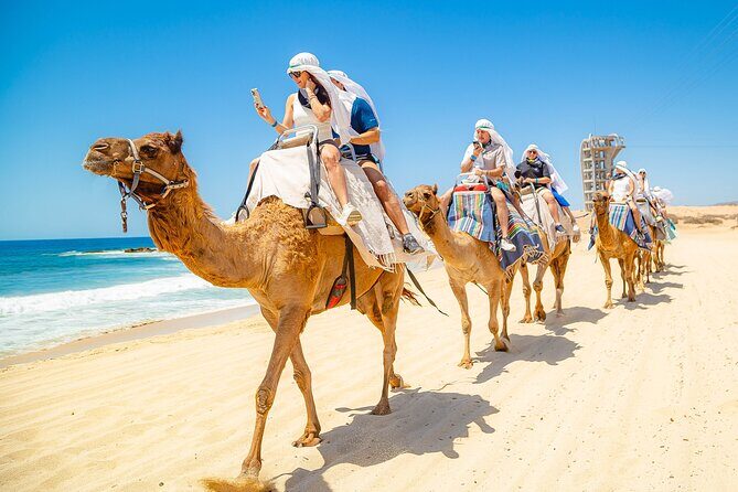 Sky Bike Free Camel Ride and Horseback Riding - FAQs