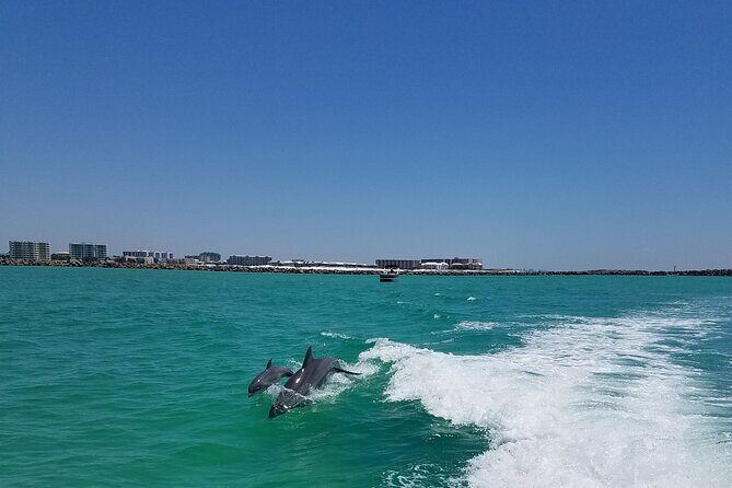 Sky High Parasailing From Marina Cafe - Destin Florida - Authentic Feedback from Travelers