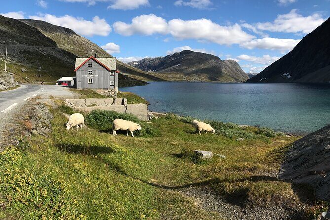 Sky to Fjord Geiranger Downhill Biking Adventure - The Sum Up