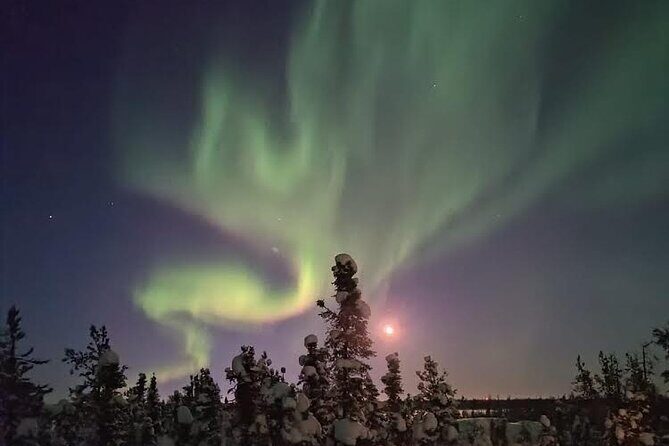 Skydome Aurora Viewing - Who Should Consider This Tour?