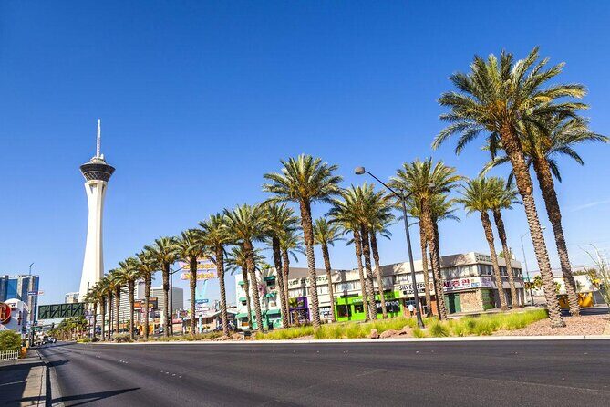 SkyJump Las Vegas at The STRAT Hotel and Casino - Key Points