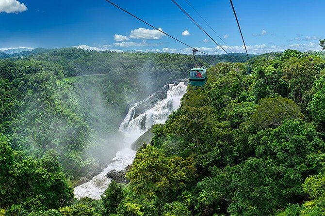 Skyrail Rainforest Cableway Day Trip from Port Douglas - Who Is This Tour Best For?