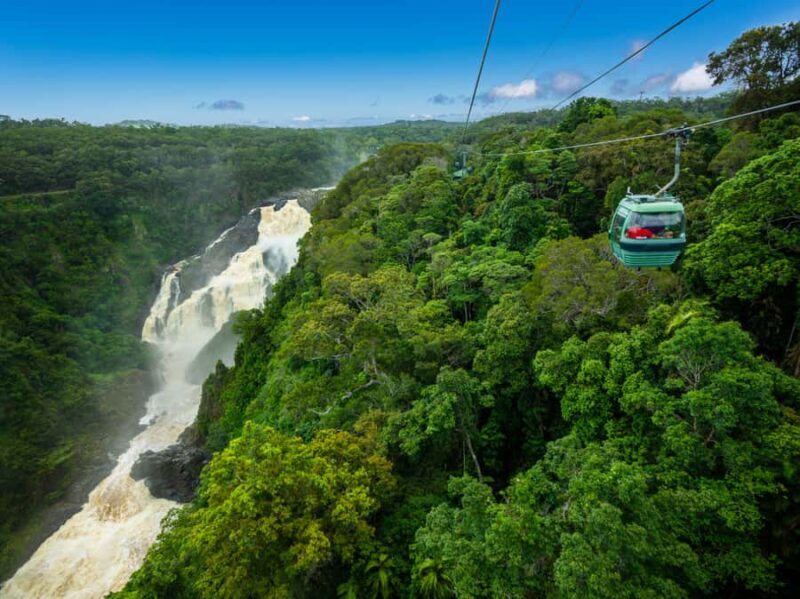 Skyrail Rainforest Cableway Round-Trip Experience - Value for Money