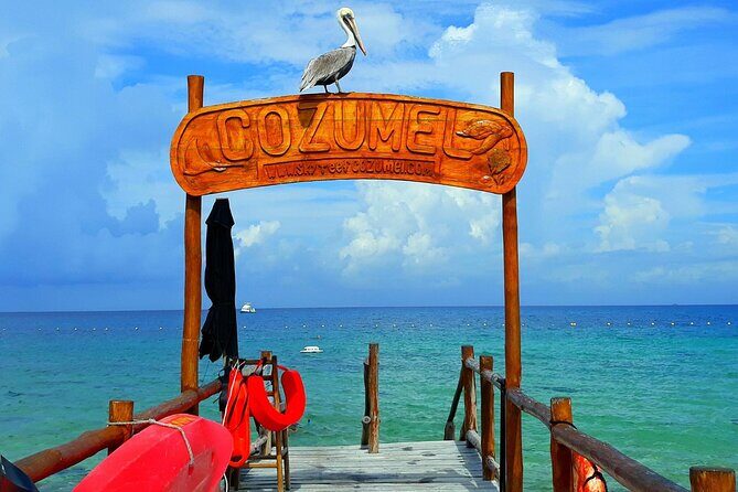 SkyReef Cozumel Snorkel & Tequila Tasting - Authentic Traveler Feedback