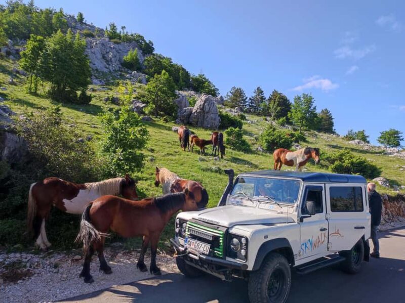 Skywalk (1228 m.) and St. George (1762 m.) ECO TOUR - Frequently Asked Questions