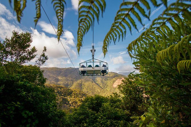 Skywire Adventure at Cable Bay, Nelson - FAQs