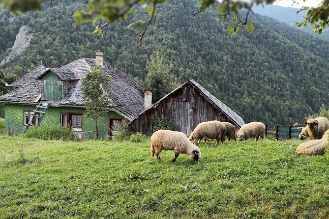 Slanic Salt Mines & Village Charms: Bucharest Day Escape - FAQ