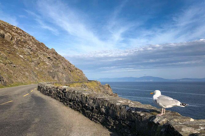 Slea Head Photo & Sightseeing Tour - Slea Head Drive & Ventry Harbour