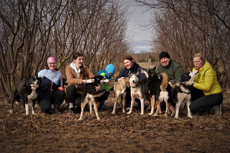 SLED DOG KENNEL VISIT TARTU COUNTRY ESTONIA - An Introduction to the Tartu Sled Dog Experience