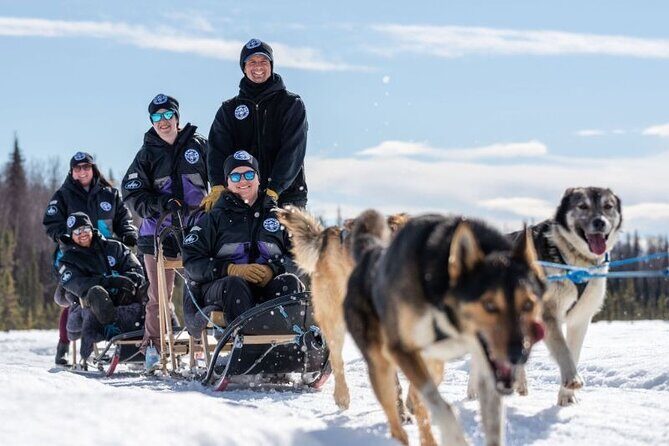 Sled Dog Ride and Scenic Drive from Anchorage - Authenticity and Authentic Guides