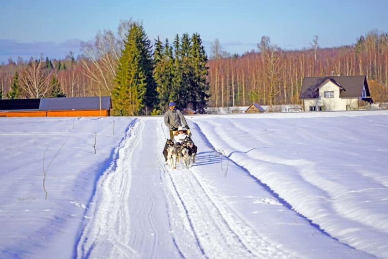 SLED DOG TOUR AND KENNEL VISIT & WITH OVERNIGHT STAY - Key Points