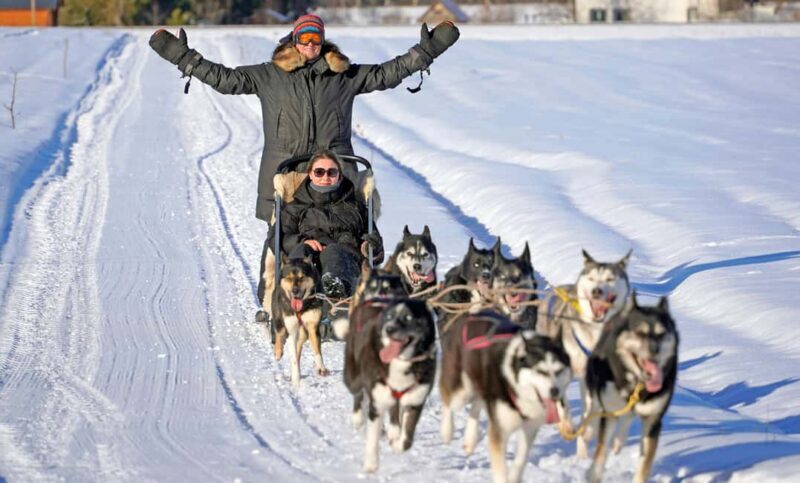 SLED DOG TOUR AND KENNEL VISIT & WITH OVERNIGHT STAY - The Experience in Detail