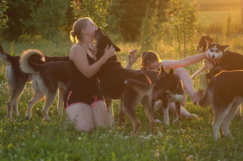 SLED DOG TOUR AND KENNEL VISIT & WITH OVERNIGHT STAY - FAQ