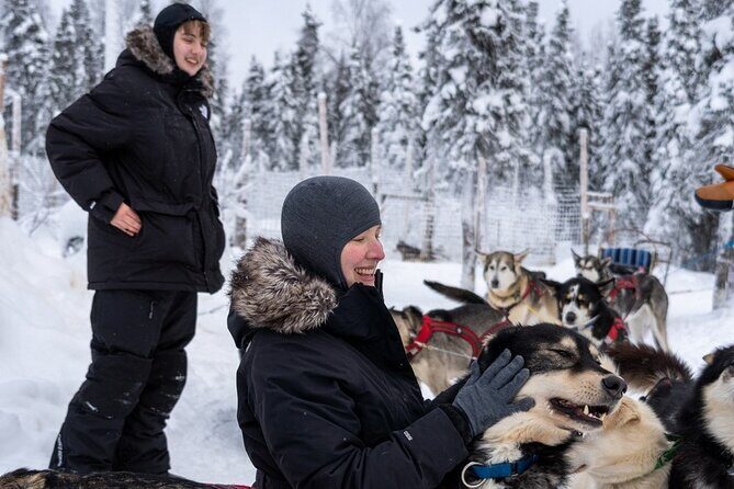 Sledding and Homesteading Adventure - What Do the Reviews Say?