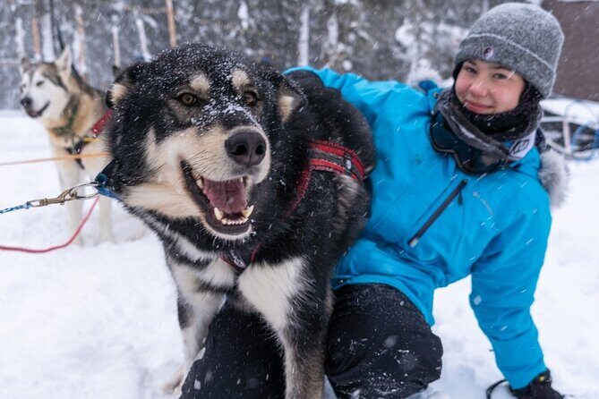 Sledding and Homesteading Adventure - The Bottom Line