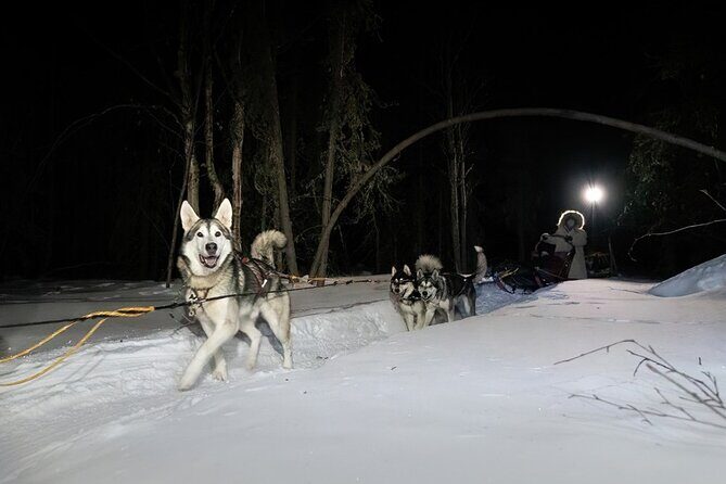 Sledding and Homesteading Adventure - FAQs