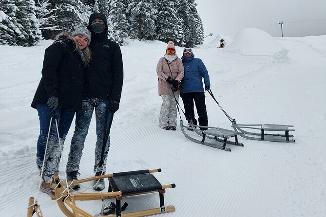Sledding Cheese Fondue, Chocolate - What to Expect from the Tour