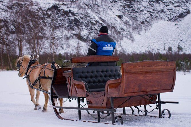Sleigh or wagon ride in the arctic Country side - Sleigh or Wagon Ride in the Arctic Countryside: An Honest Look