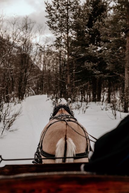 sleigh ride and dining experience - Final Thoughts: Is it Worth It?