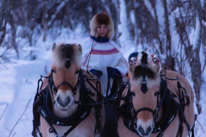 Sleigh Ride w/ Tapas Meal - Experience Arctic Farm Life - A Detailed Look at the Experience