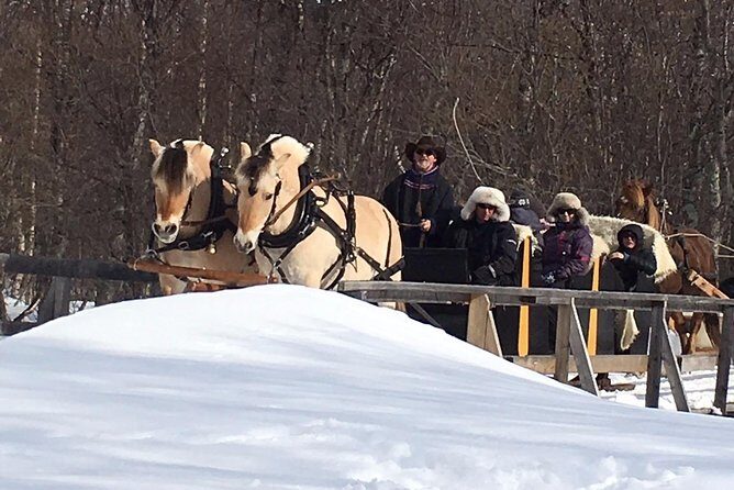Sleigh Ride w/ Tapas Meal - Experience Arctic Farm Life - FAQs