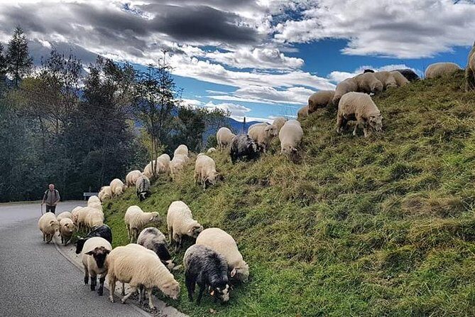 SLOVAKIA PRIVATE TOUR with ZAKOPANE - Why This Tour Works Well