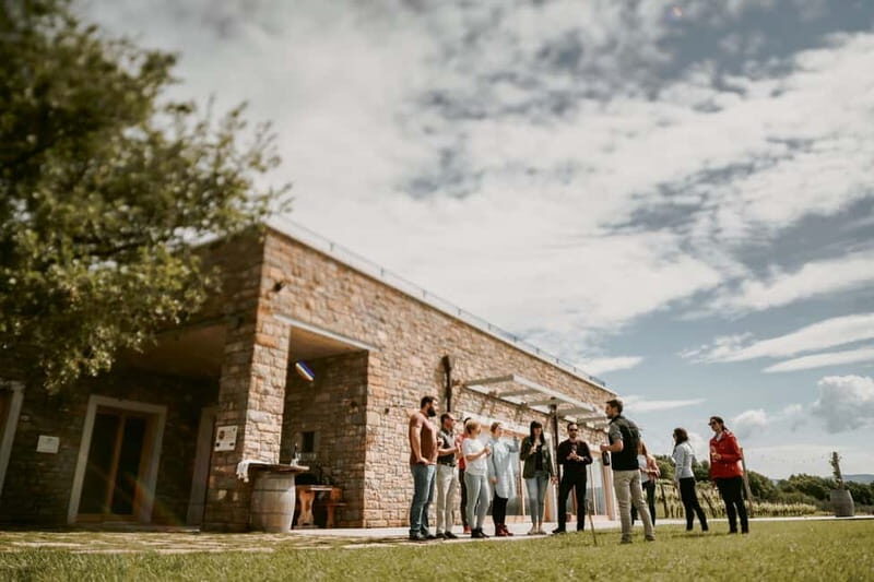 Slovenia Wine Tour in a Family-Owned Cellars - A Closer Look at the Slovenia Wine Tour