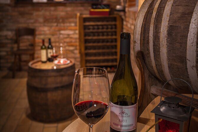 Slovenian wine tasting at Hotel Triglav Bled's wine cellar - The Experience in Detail