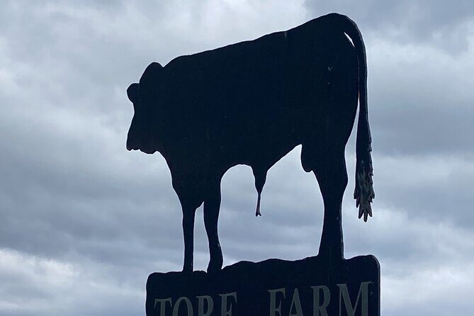 Slow Food Highland Dining and Storytelling in Inverness - An Honest Look at the Inverness Highland Dining Experience