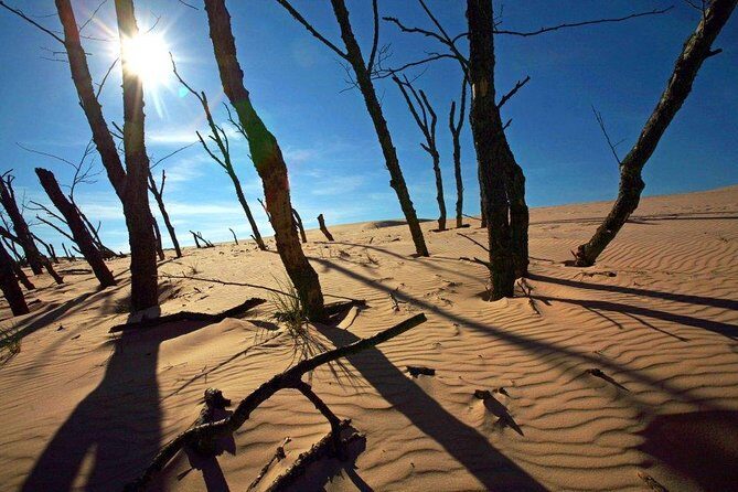 Slowinski National Park Private Tour - FAQ