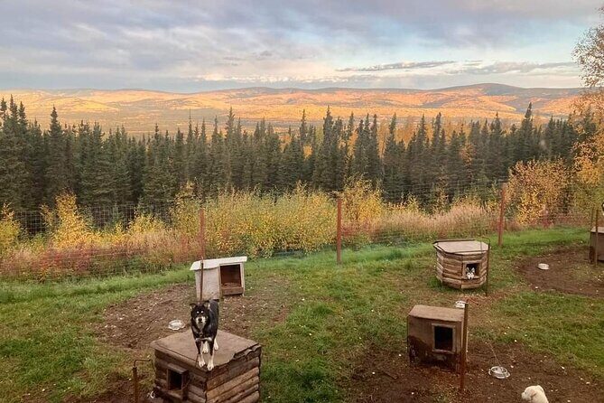 Sluice Box Kennel Experience - Key Points