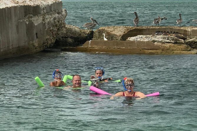 Small Group 2 Hour Dolphin Cruise with Snorkeling to Shell Key - What Makes This Tour Stand Out?