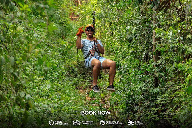 Small Group 3 Waterfall Cenotes Experience - What The Reviews Say