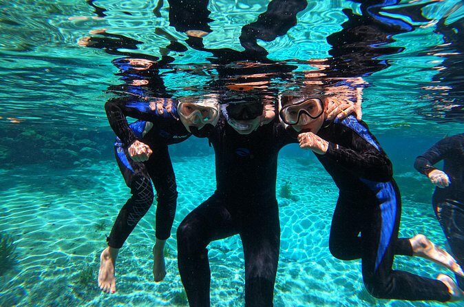 Small Group 6 Passenger Manatee Swim - The Downside? What to Keep in Mind