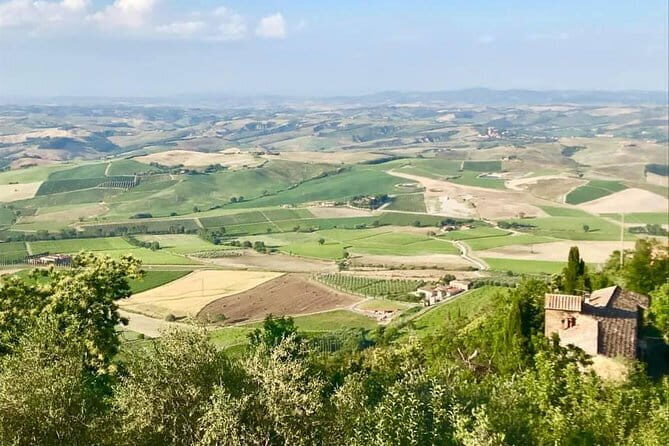 Small group (7) Chianti-side wine tour with Mercedes V class Van - The Itinerary & What You Can Expect