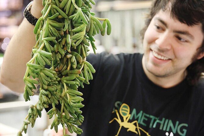 Small-Group Adelaide Central Market Early Breakfast Tour - The Value of the Tour